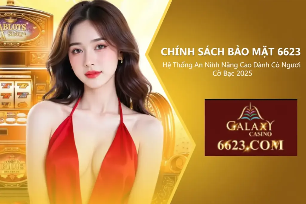 Tổng Quan Về Chính Sách Bảo Mật 6623 Và Vai Trò Của Nó